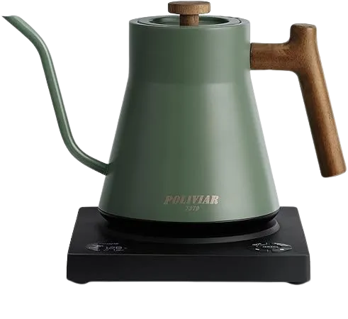 Electric Gooseneck Kettle