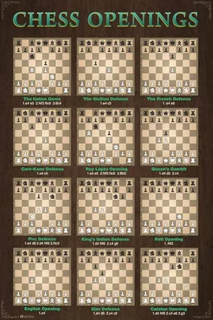 Chess Openings Poster 24x36