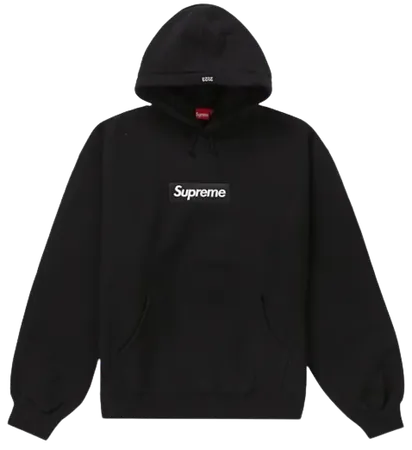 Box Logo Hooded Sweatshirt (FW23) Black