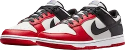 Dunk Low EMB NBA 75th Anniversary Chicago