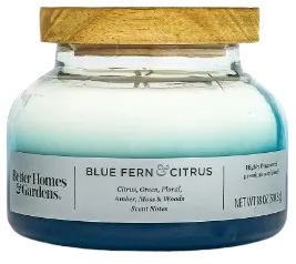 Blue Fern & Citrus Scented 2-Wick 18oz Ombre Bell Jar Candle
