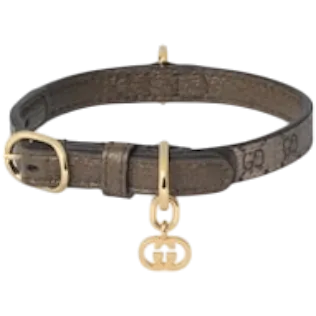 Extra-small pet collar