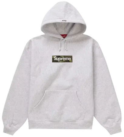 Box Logo Hooded Sweatshirt (FW23) Ash Grey