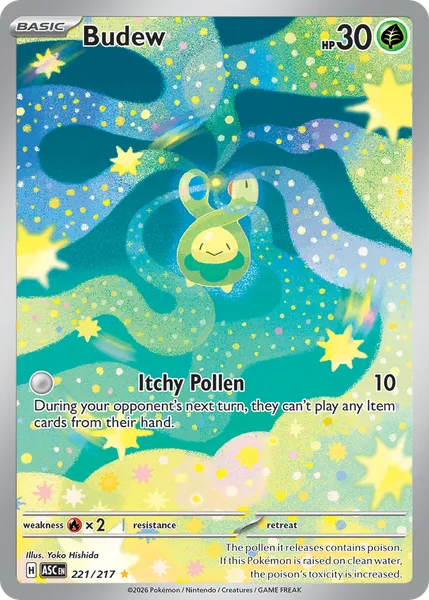 Budew 221/217 [Holo IR]