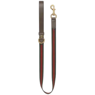 Large web pet leash