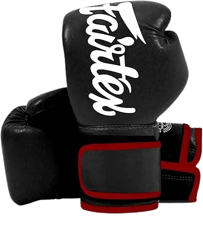 Muay Thai Boxing Gloves