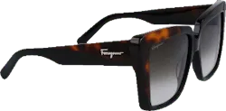 Sunglasses SF1060S-6