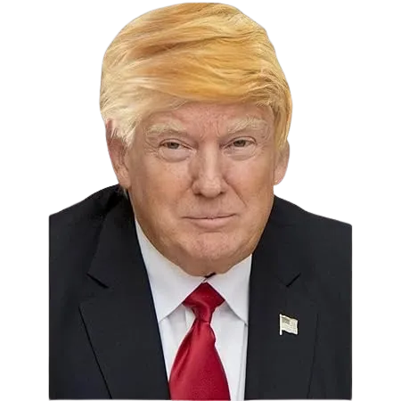 Donald Trump Wig