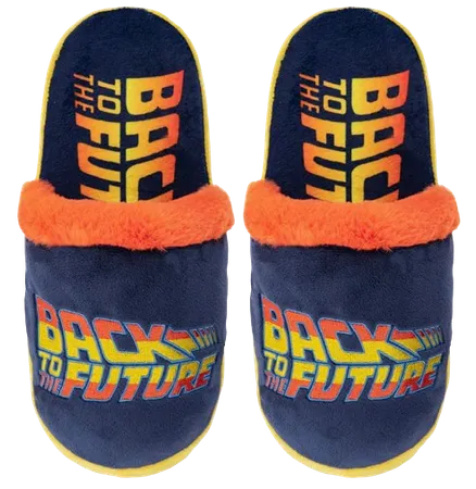 Back to the Future Fuzzy Slides