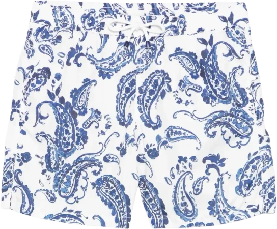 Paisley Print Swim Shorts