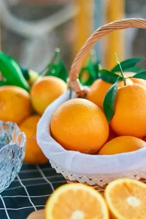 Fresh Organic Oranges (Valencia Variety) - 25lbs