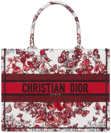 Medium Dior Book Tote