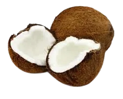 Fresh Coconuts (Set Of 3)