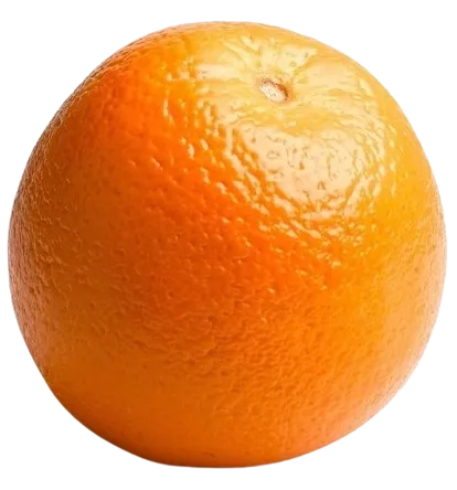 Navel Orange, 1 Each