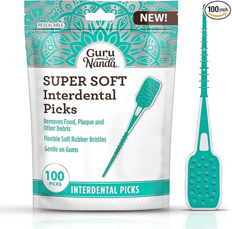 Dental Floss Picks