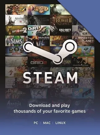 Steam Gift Card 1 EUR - Steam Key