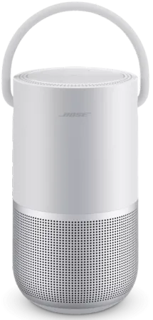 Portable Smart Speaker