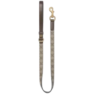 Small/medium pet leash