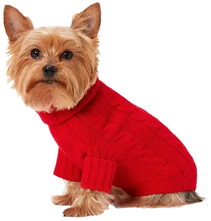 Cable-Knit Cashmere Dog Sweater