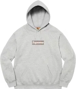 Box Logo Hooded Sweatshirt