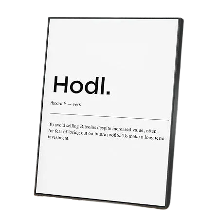 Hodl Canvas Wall Art