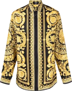 Baroque-print Silk Shirt
